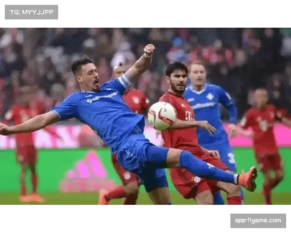 通讯:保级大战六分战,波鸿战胜达姆施塔特逃离降级区